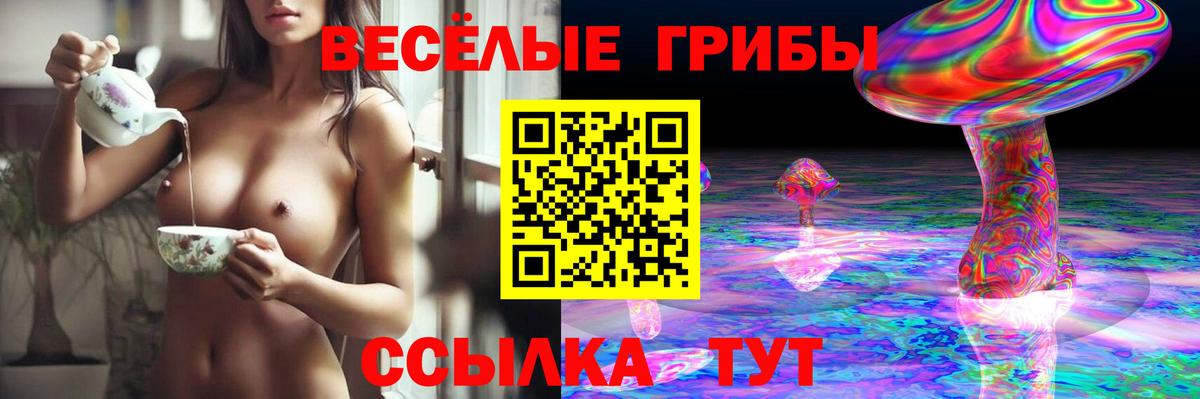 Галлюциногенные грибы прущие грибы Хасавюрт